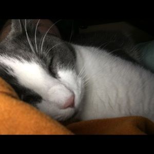 Meet your Posher, Margaret